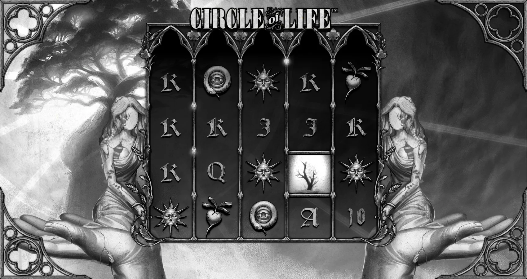Circle of Life by Hacksaw Gaming - background 5
